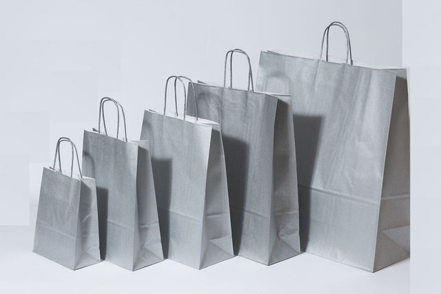 Paper Carry Bags Silver 260+120x350mm 
