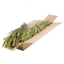 Gedroogde Bloemen Natuurlijk Groen Setarea - 1 bundel