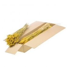 Gedroogde Bloemen Geel Tarwe (Triticum) - 1 bundel