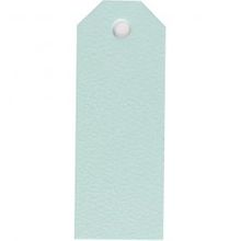 Manilla Labels licht blauw 30x80mm - 20 st