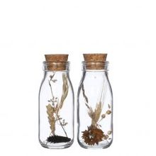 Melkfles met diverse droogbloemen naturel 14cm hoog - 12 st