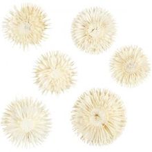 Gedroogde bloemen, d: 3-5 cm - 6 st