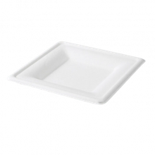 Suikerriet bord 160x160 mm wit BIO - 500 stuks