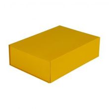 Magneetdozen 350x250x100mm Okergeel - 25 st