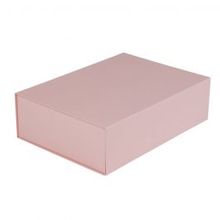 Magneetdozen 350x250x100mm Oud roze - 25 st