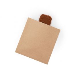 Vlakke Zakken Kraft/Plastic - kindveilig - 89x95mm - 100 st