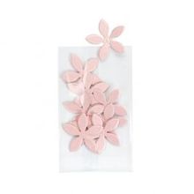 Milieuvriendelijke Zakjes Bioplastic Premium 51x76mm - 100 st