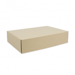 Verzenddozen Graskarton 22,5x15x9cm - 50 stuks