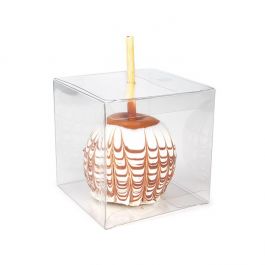 Kristalheldere Dozen Rpet 102x102x102 mm - 25 stuks