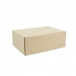 Verzenddozen Graskarton 39x30x14cm - 50 stuks