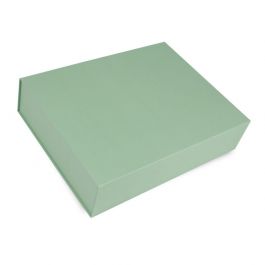 Magneetdozen 425x333x97mm Mintgroen - 25 st