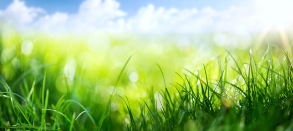 gras